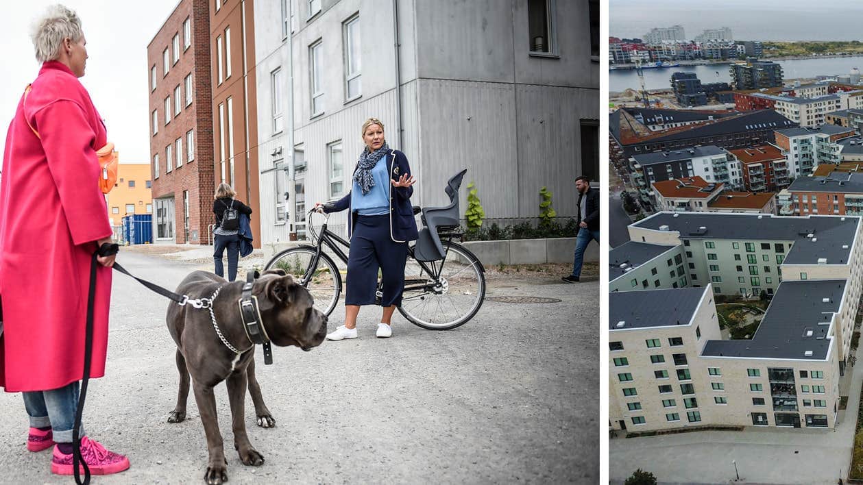 Bild från Expressens artikel om hyresgäster i Limhamn.